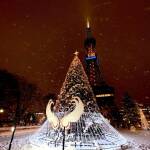 お知らせに使用する札幌ホワイト逸見ネーションの画像